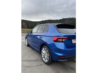 Skoda Fabia Gebrauchtwagen