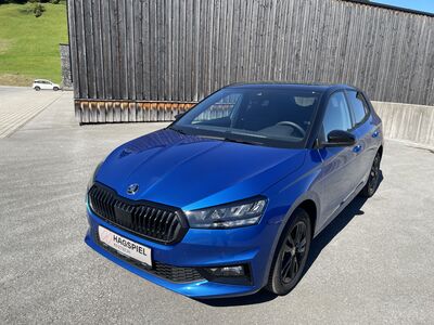 Skoda Fabia Gebrauchtwagen Skoda Fabia Gebrauchtwagen