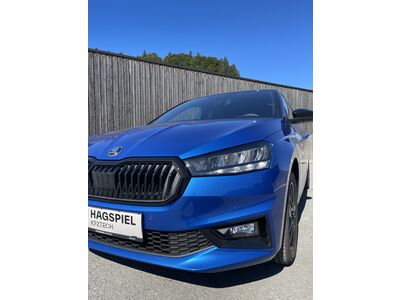 Skoda Fabia Gebrauchtwagen Skoda Fabia Gebrauchtwagen