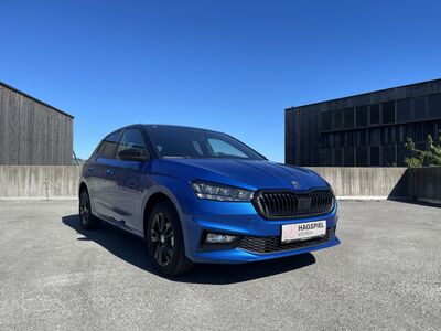 Skoda Fabia Gebrauchtwagen