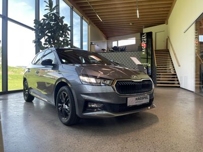 Skoda Fabia Gebrauchtwagen Skoda Fabia Gebrauchtwagen