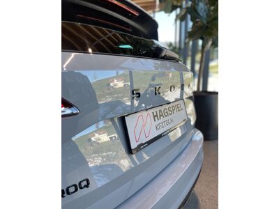 Skoda Karoq Gebrauchtwagen Skoda Karoq Gebrauchtwagen