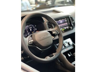 Skoda Karoq Gebrauchtwagen Skoda Karoq Gebrauchtwagen