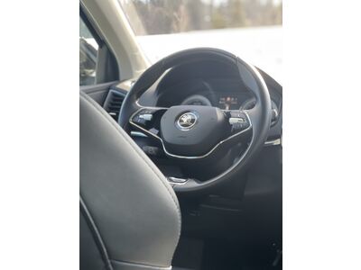 Skoda Karoq Gebrauchtwagen