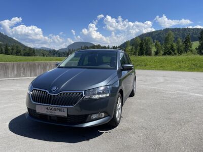 Skoda Fabia Gebrauchtwagen Skoda Fabia Gebrauchtwagen
