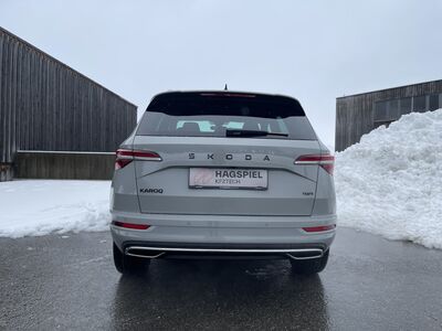 Skoda Karoq Gebrauchtwagen