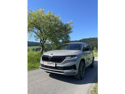 Skoda Karoq Gebrauchtwagen