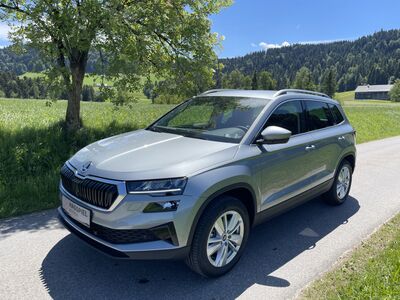 Skoda Karoq Gebrauchtwagen