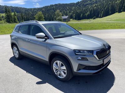 Skoda Karoq Gebrauchtwagen