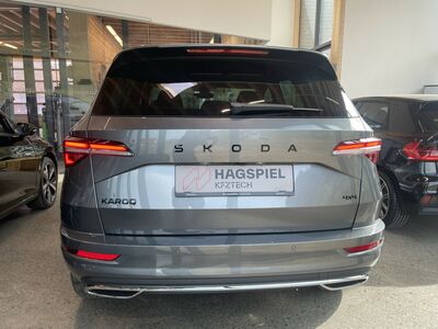 Skoda Karoq Gebrauchtwagen