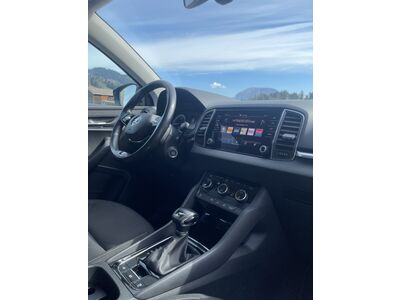 Skoda Karoq Gebrauchtwagen