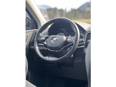 Skoda Karoq Gebrauchtwagen