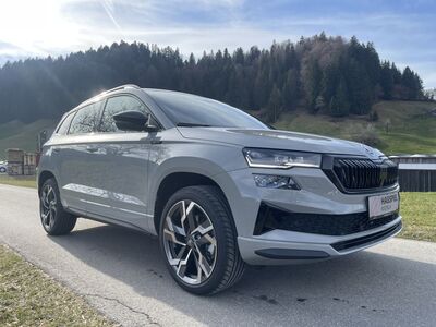 Skoda Karoq Gebrauchtwagen