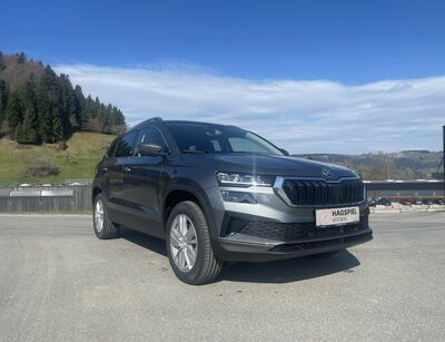 Skoda Karoq Gebrauchtwagen