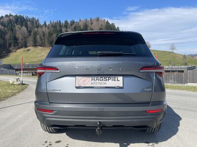 Skoda Karoq Gebrauchtwagen