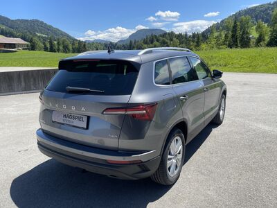 Skoda Karoq Gebrauchtwagen