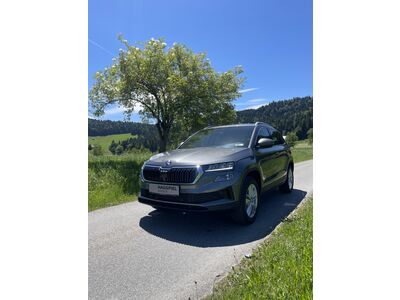 Skoda Karoq Gebrauchtwagen