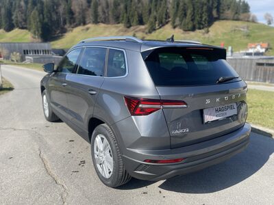 Skoda Karoq Gebrauchtwagen