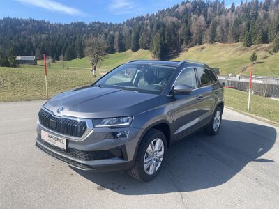 Skoda Karoq Gebrauchtwagen