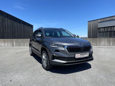 Skoda Karoq Gebrauchtwagen