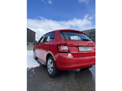 Skoda Fabia Gebrauchtwagen Skoda Fabia Gebrauchtwagen