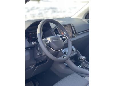 Skoda Karoq Gebrauchtwagen Skoda Karoq Gebrauchtwagen