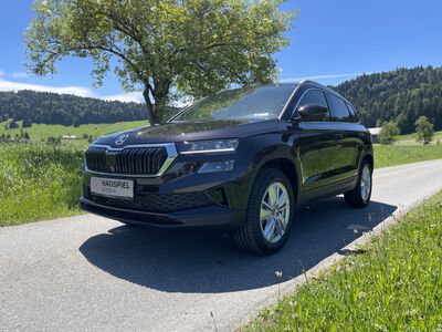 Skoda Karoq Gebrauchtwagen Skoda Karoq Gebrauchtwagen