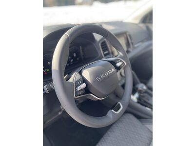 Skoda Karoq Gebrauchtwagen Skoda Karoq Gebrauchtwagen