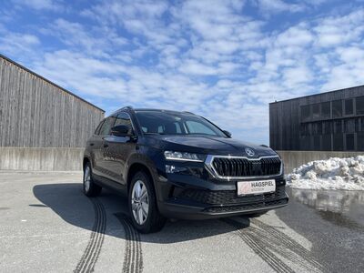 Skoda Karoq Gebrauchtwagen