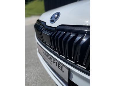 Skoda Karoq Gebrauchtwagen Skoda Karoq Gebrauchtwagen