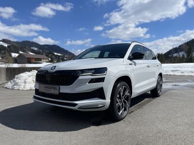 Skoda Karoq Gebrauchtwagen