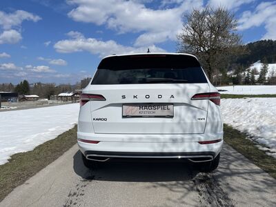 Skoda Karoq Gebrauchtwagen