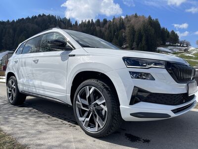 Skoda Karoq Gebrauchtwagen