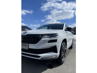 Skoda Karoq Gebrauchtwagen