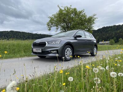 Skoda Fabia Gebrauchtwagen Skoda Fabia Gebrauchtwagen