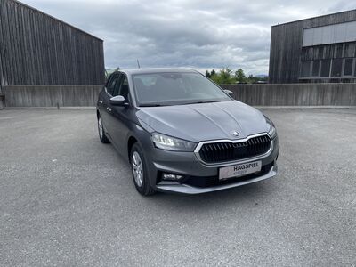 Skoda Fabia Gebrauchtwagen