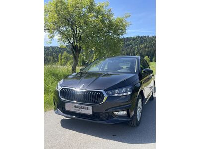 Skoda Fabia Gebrauchtwagen Skoda Fabia Gebrauchtwagen