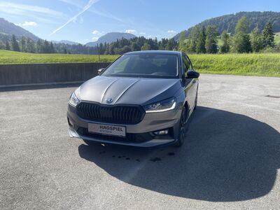 Skoda Fabia Gebrauchtwagen Skoda Fabia Gebrauchtwagen