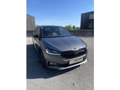 Skoda Fabia Gebrauchtwagen Skoda Fabia Gebrauchtwagen