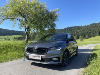 Skoda Fabia Gebrauchtwagen Skoda Fabia Gebrauchtwagen