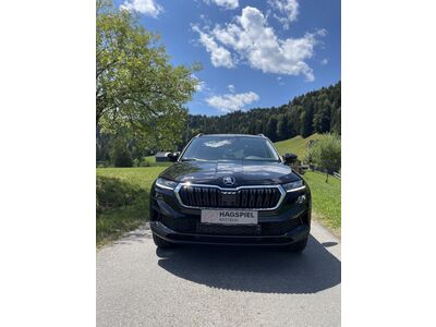 Skoda Karoq Jahreswagen Skoda Karoq Jahreswagen