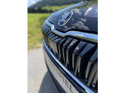 Skoda Karoq Jahreswagen Skoda Karoq Jahreswagen