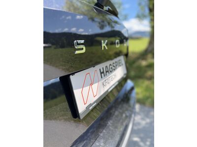 Skoda Karoq Jahreswagen Skoda Karoq Jahreswagen