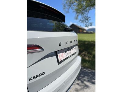 Skoda Karoq Gebrauchtwagen Skoda Karoq Gebrauchtwagen
