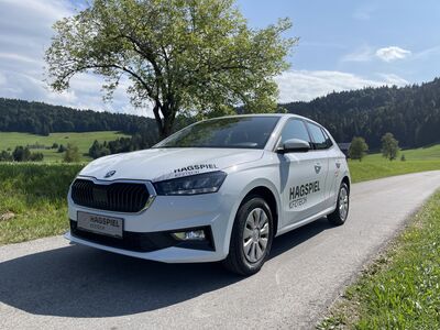Skoda Fabia Gebrauchtwagen Skoda Fabia Gebrauchtwagen