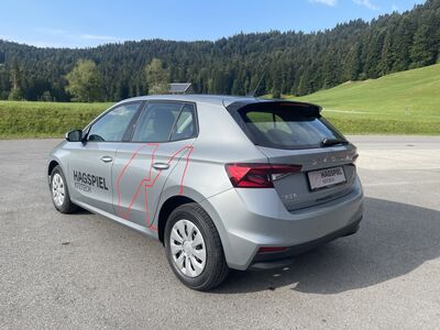 Skoda Fabia Gebrauchtwagen Skoda Fabia Gebrauchtwagen