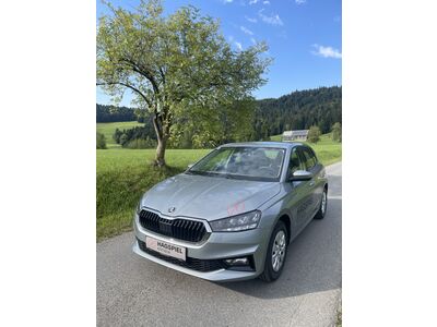 Skoda Fabia Gebrauchtwagen Skoda Fabia Gebrauchtwagen