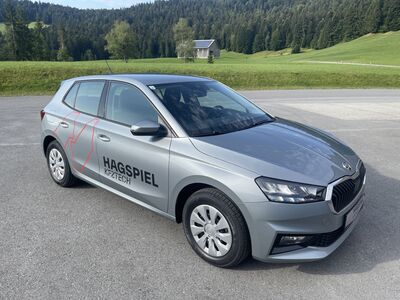 Skoda Fabia Gebrauchtwagen Skoda Fabia Gebrauchtwagen