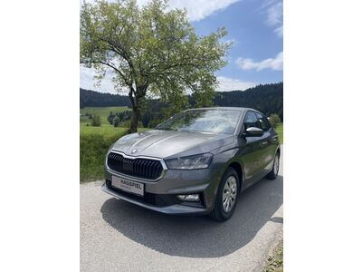 Skoda Fabia Gebrauchtwagen Skoda Fabia Gebrauchtwagen