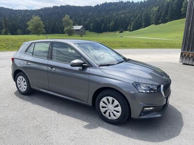 Skoda Fabia Gebrauchtwagen Skoda Fabia Gebrauchtwagen